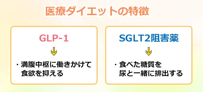 医療ダイエットの特徴のオリジナル図解