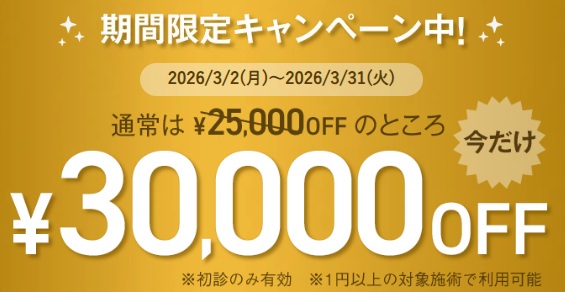 期間限定キャンペーン中