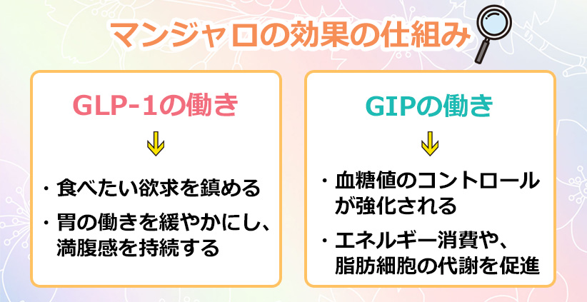 マンジャロの効果の仕組みのオリジナル図解
