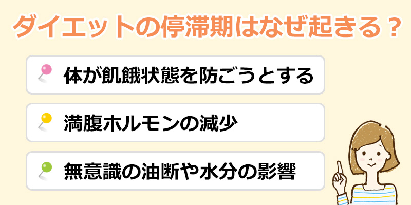 ダイエットの停滞期はなぜ起きる？のオリジナル図解