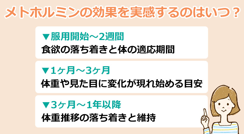 メトホルミンで痩せる効果を実感できるのは「いつから」？のオリジナル図解