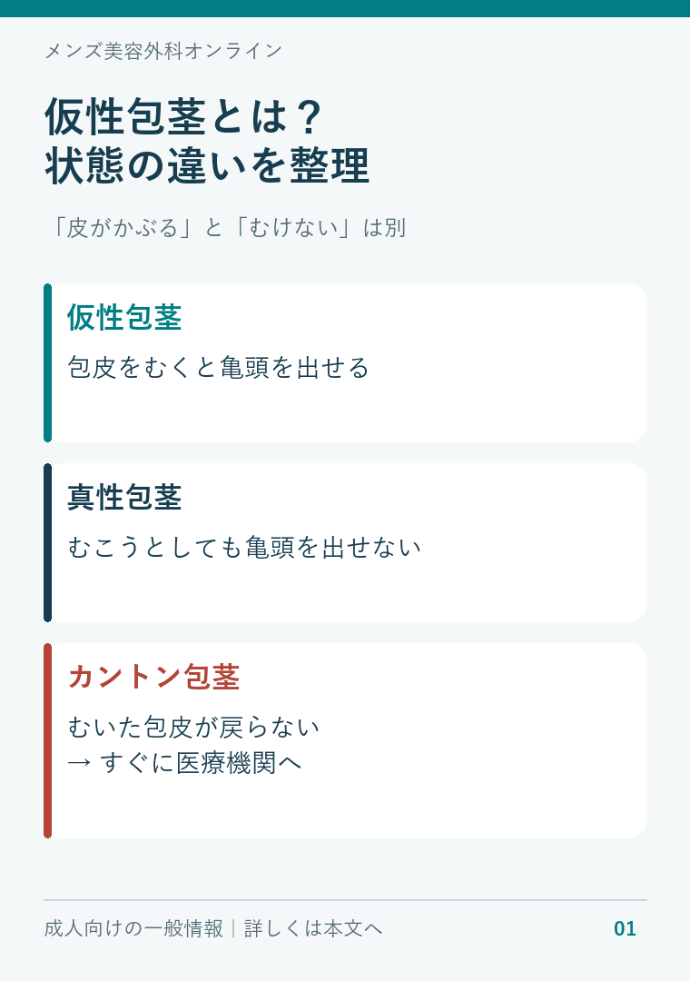 仮性包茎の意味と、真性包茎・カントン包茎の状態の違い