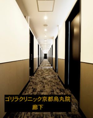 ゴリラクリニック京都烏丸院の廊下