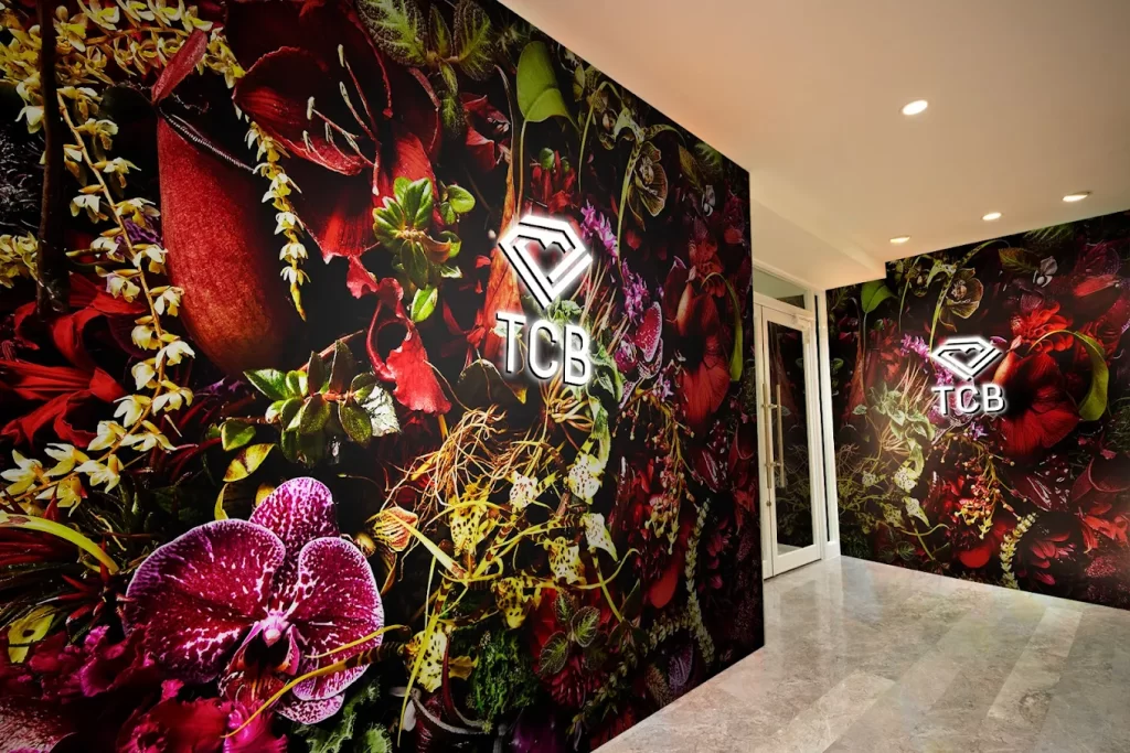 TCB東京中央美容外科 川越院