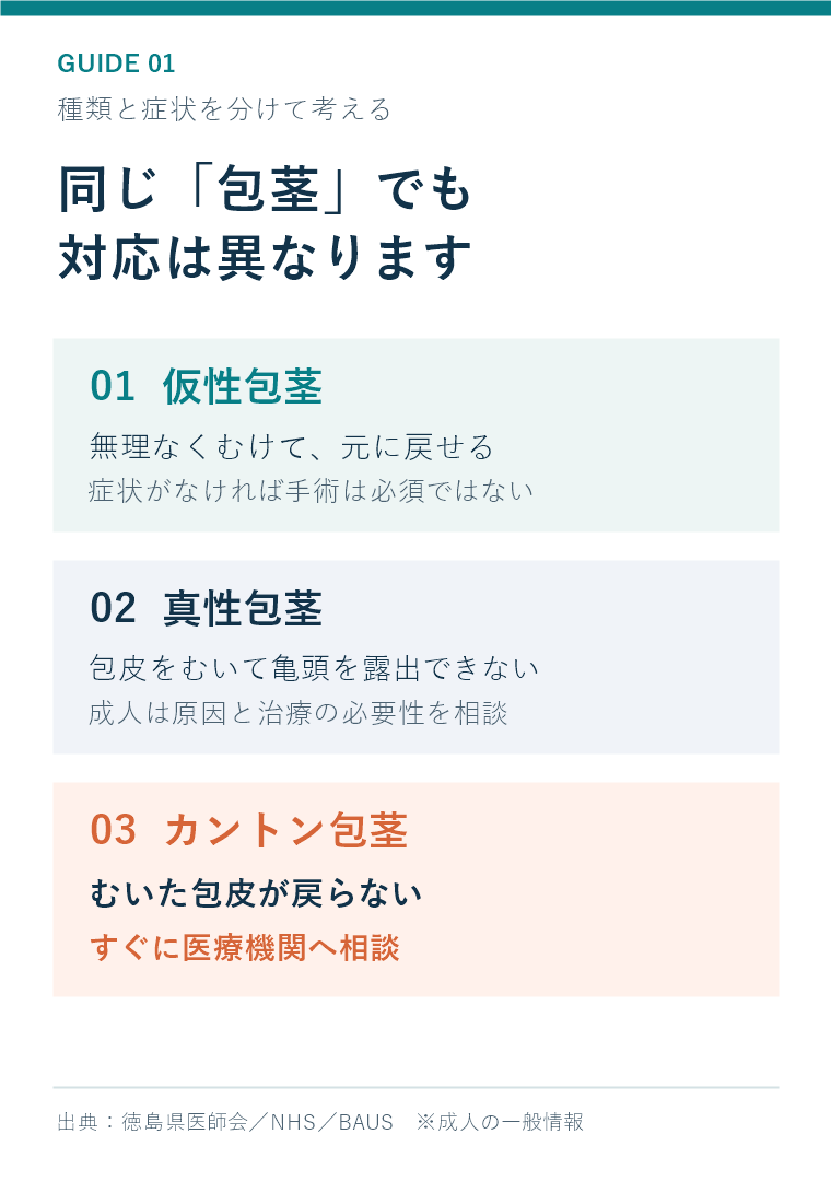 仮性包茎・真性包茎・カントン包茎の違いと受診の考え方
